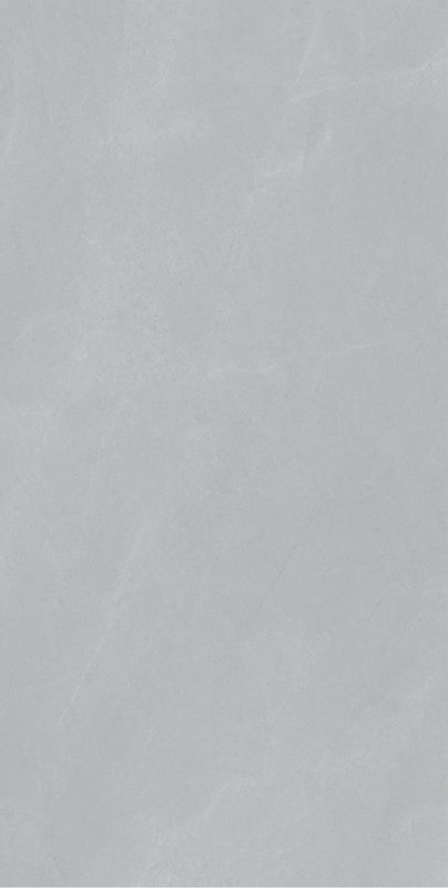  西爾塞灰 MS18999